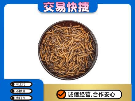 大同礼品回收虫草.jpg